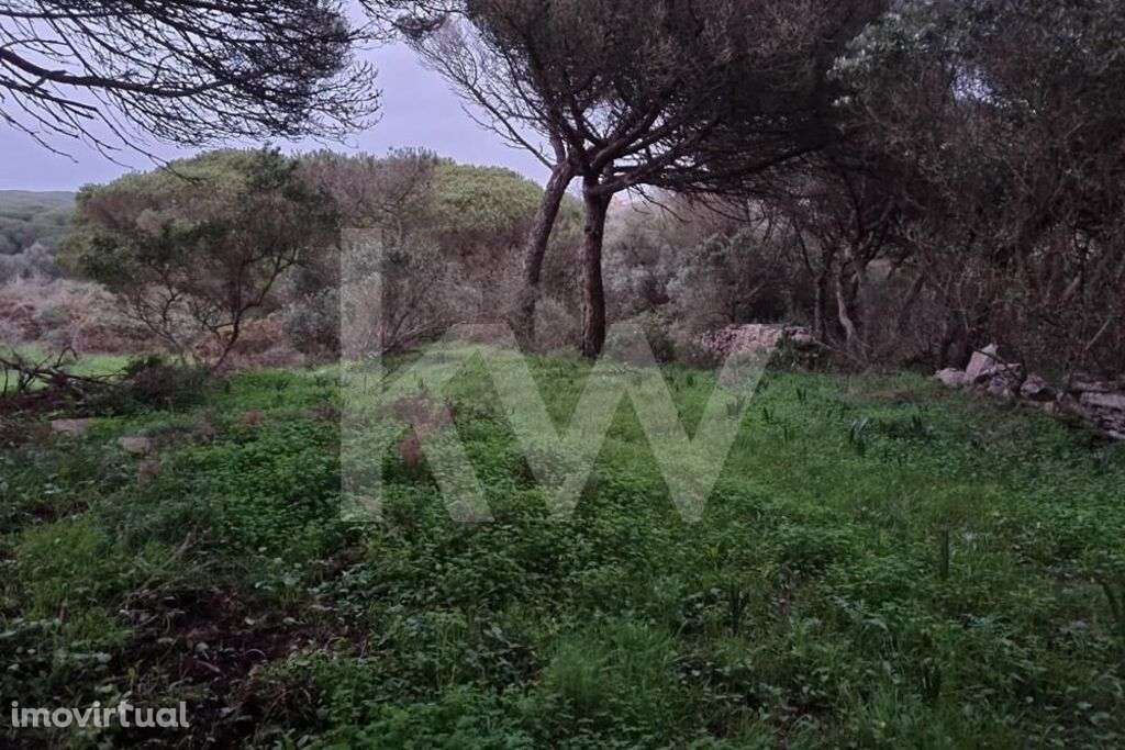 Terreno Rústico (1480m2) para venda em São João das Lampas - Grande imagem: 2/7