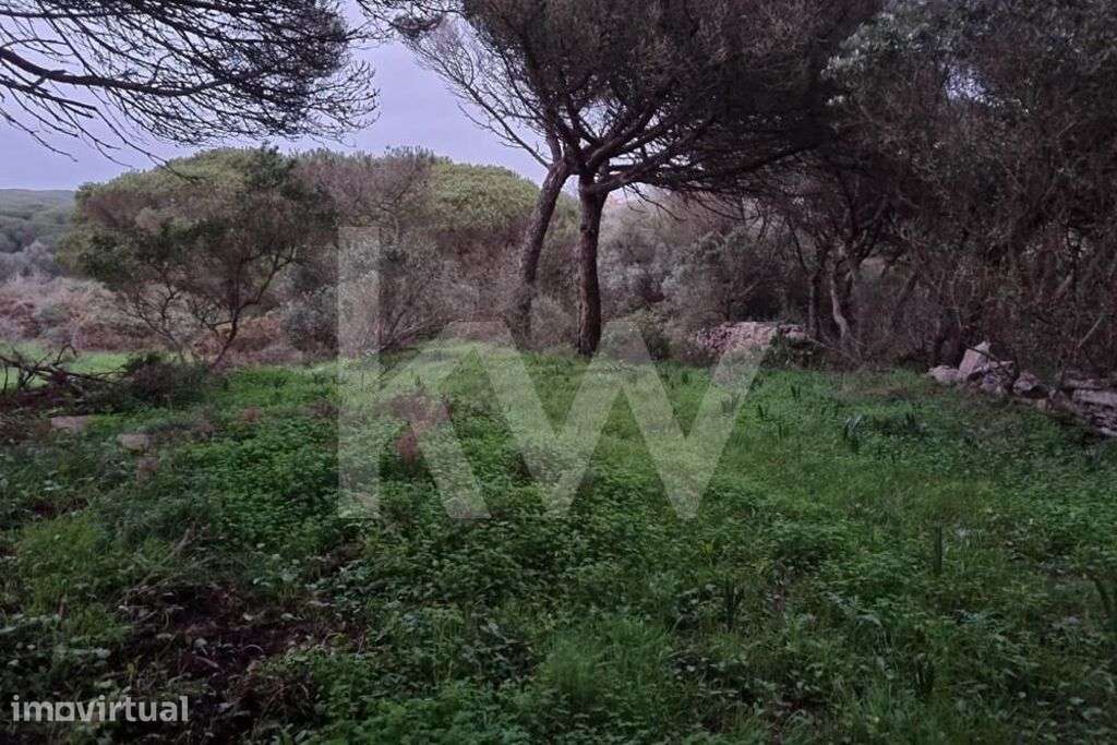 Terreno Rústico (1480m2) para venda em São João das Lampas - Grande imagem: 2/7