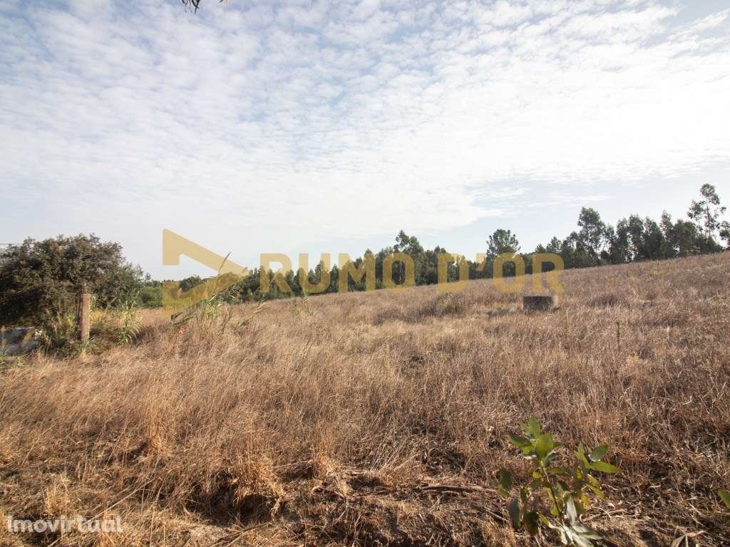 Terreno Misto - Surraipas, Freguesia de Olhalvo (Alenquer) - Grande imagem: 3/9