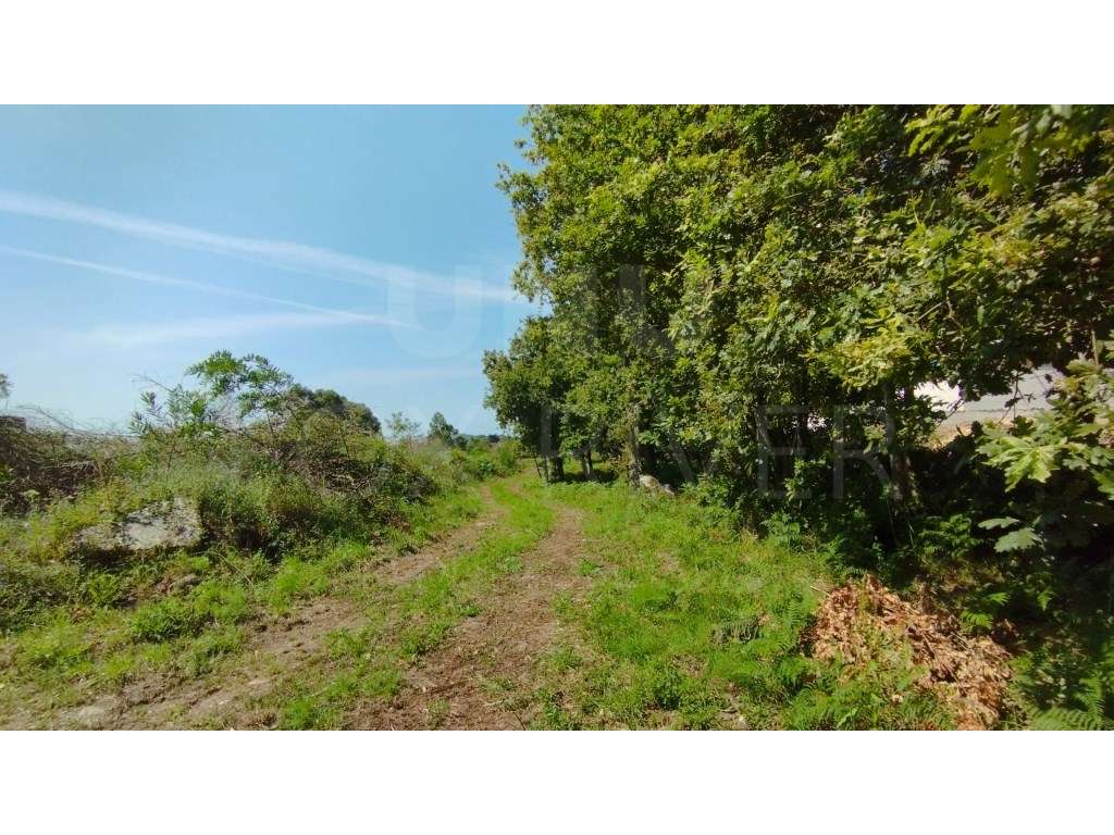 Terreno para Construção- Areosa, Viana do Castelo - Grande imagem: 3/6