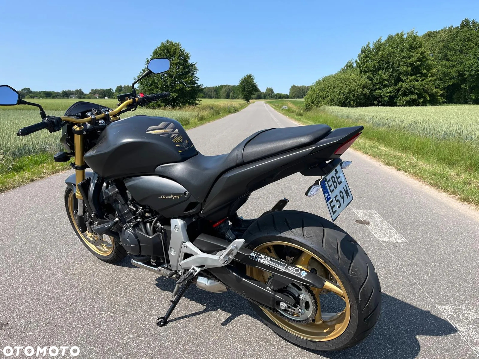 Honda Hornet - 15