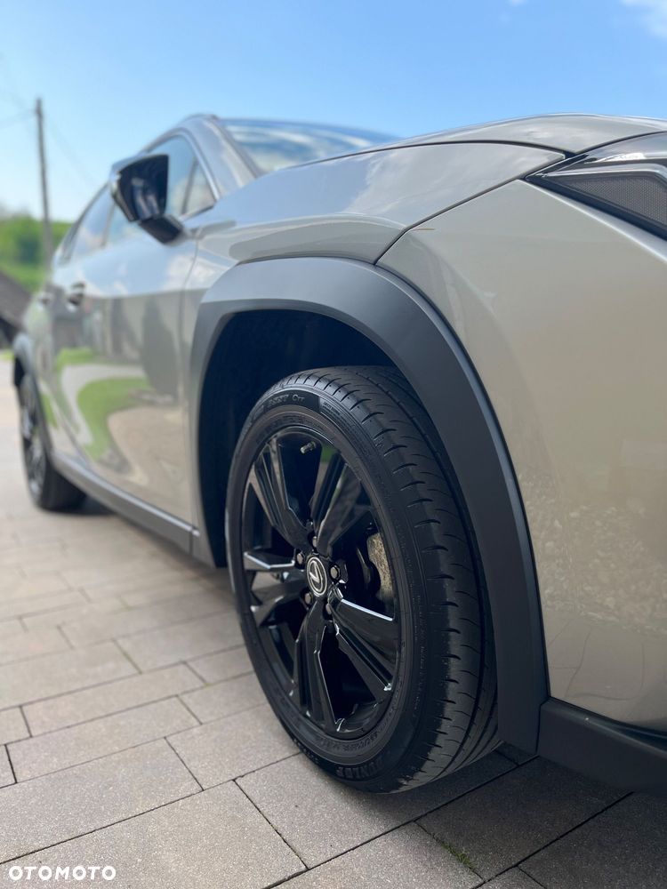Lexus UX - 10