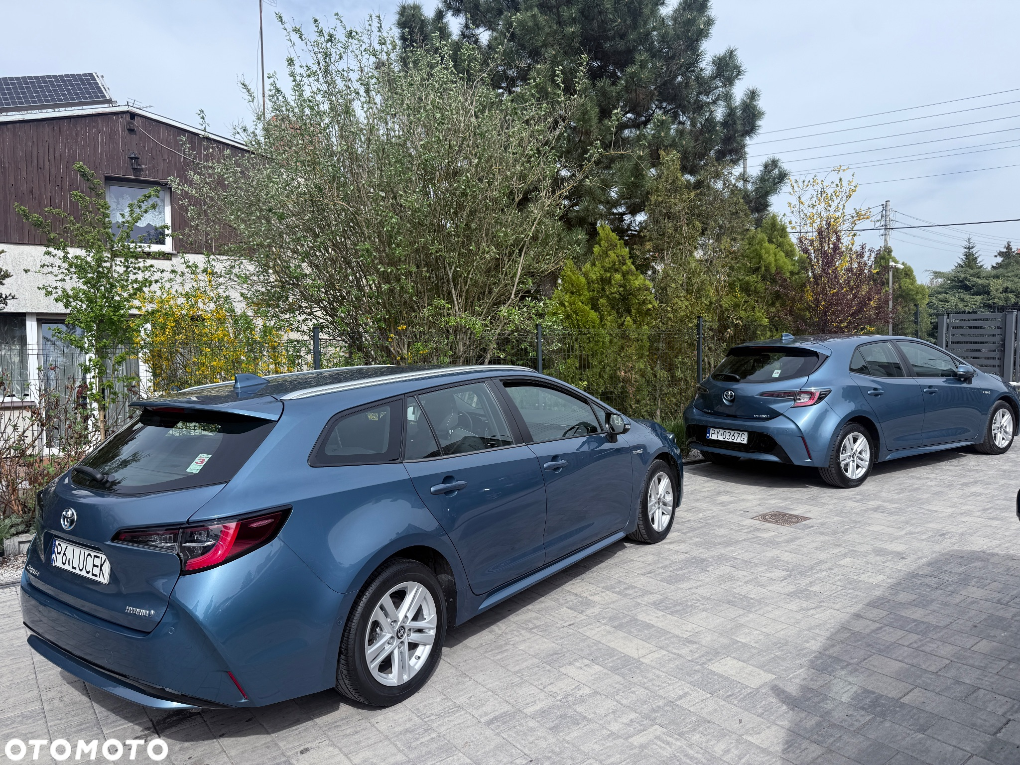 Toyota Corolla - 19