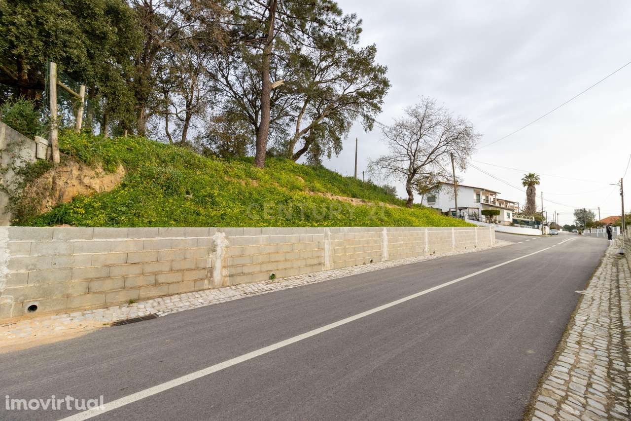 Terreno Urbano || Andrinos || Leiria - Grande imagem: 2/5