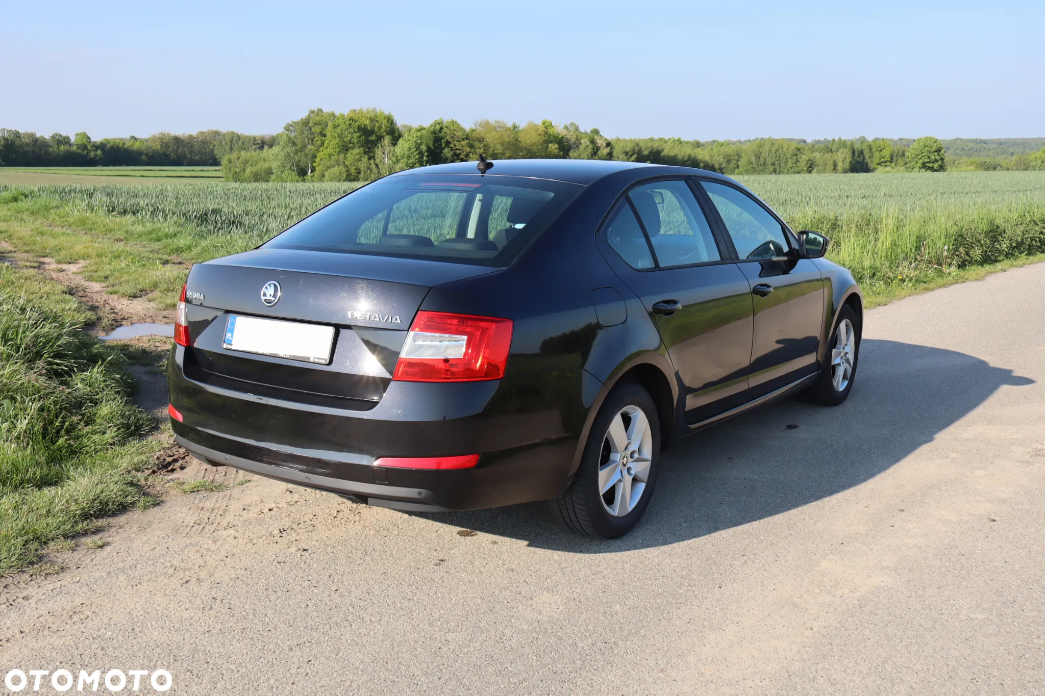 Skoda Octavia 2.0 TDI Ambition DSG - 2