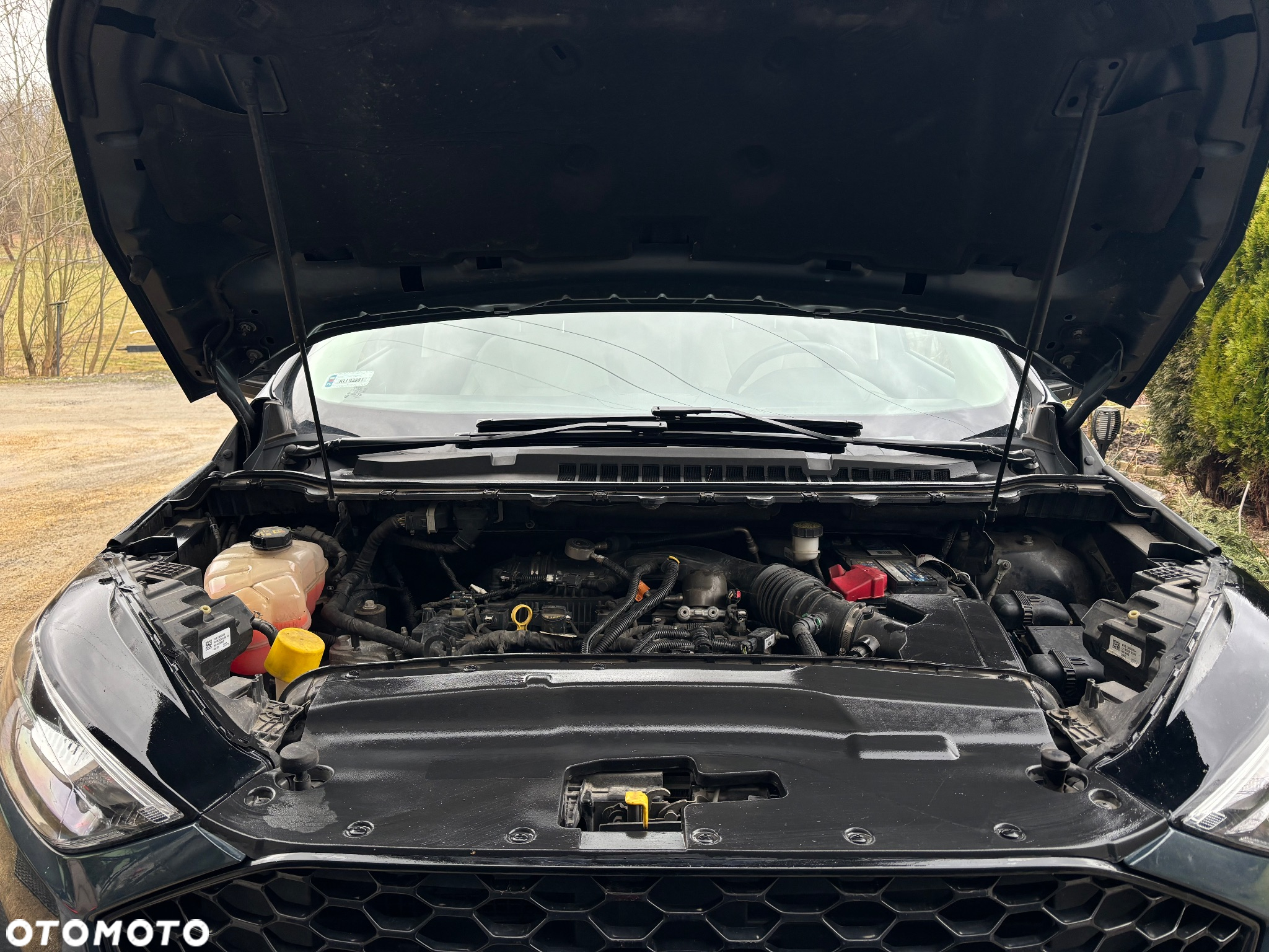 Ford Edge - 18