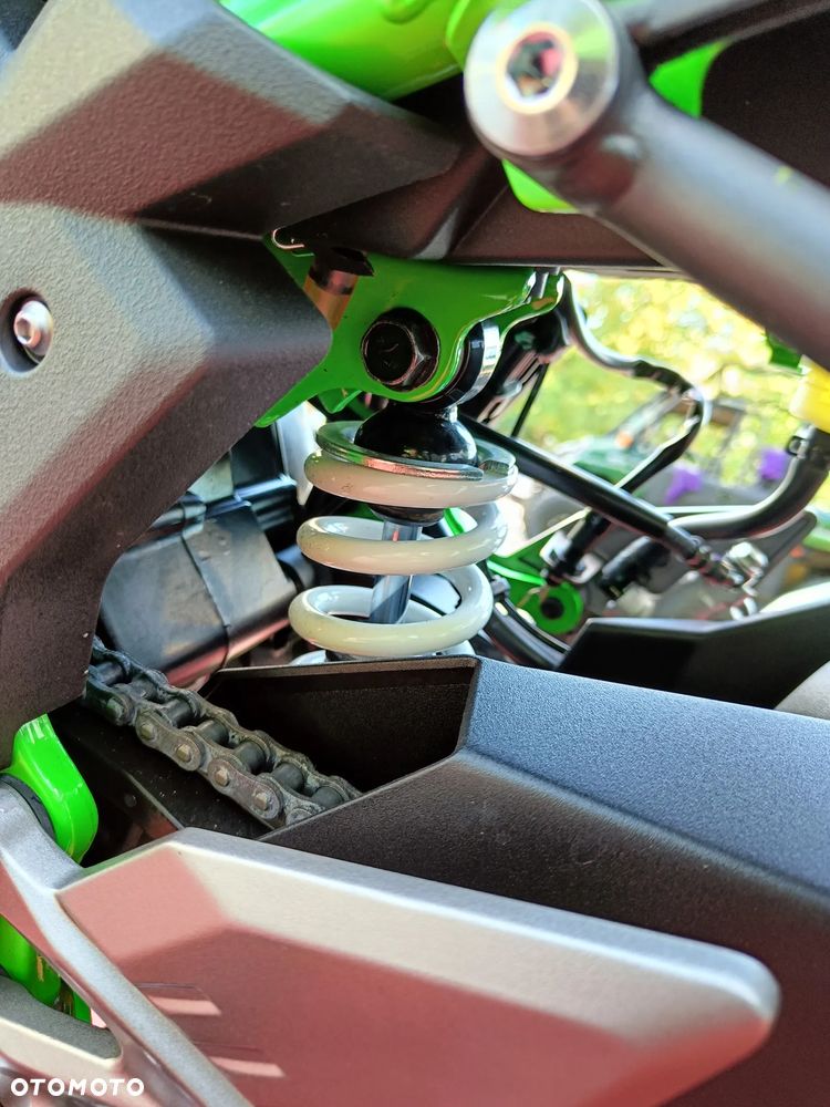 Kawasaki Ninja - 18