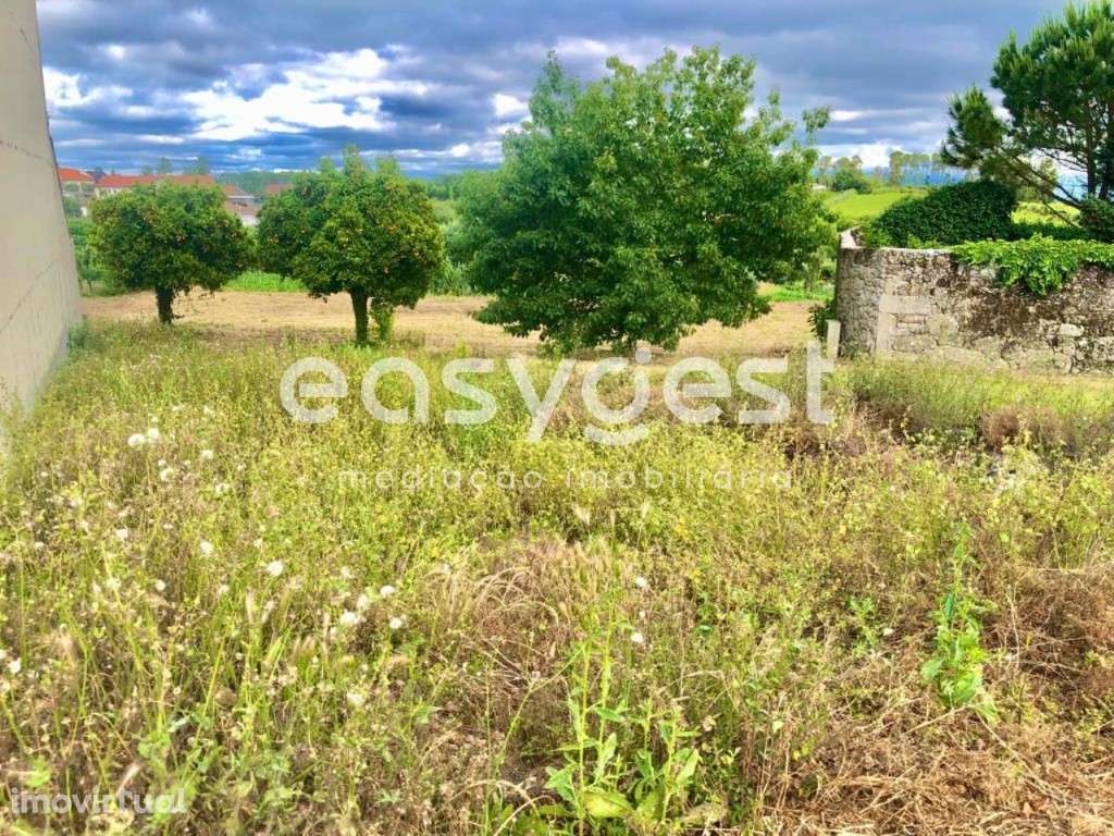 Excelente lote de terreno, localizado em S. João de Lourosa - Grande imagem: 3/11