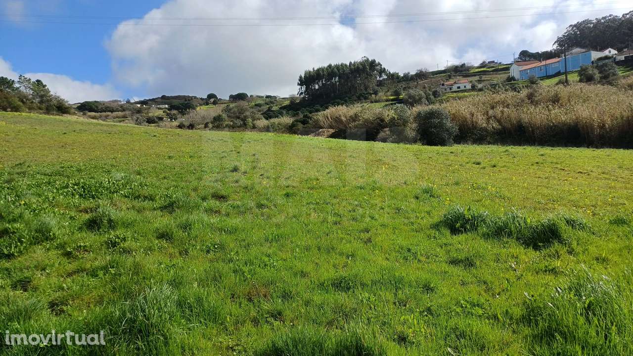 Terreno rustico 40560m2 em Sapataria - Grande imagem: 2/4