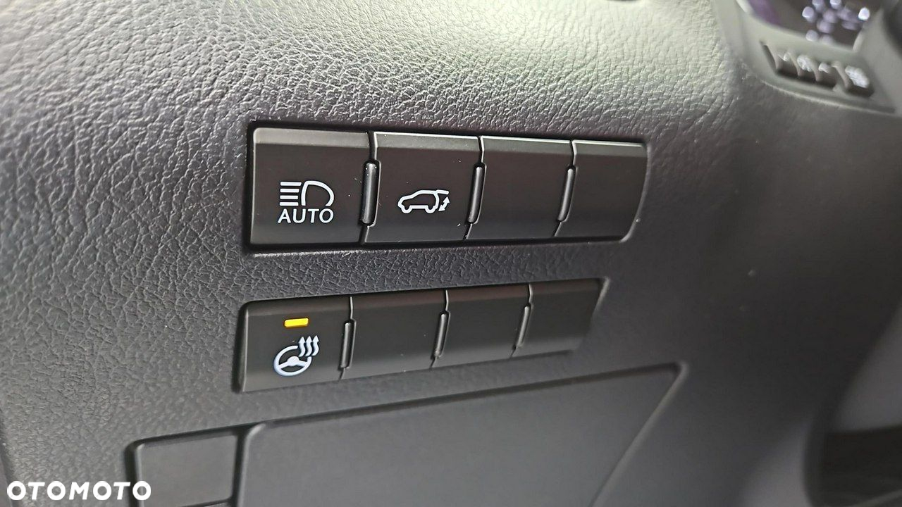 Lexus RX 450h F-Impression - 17