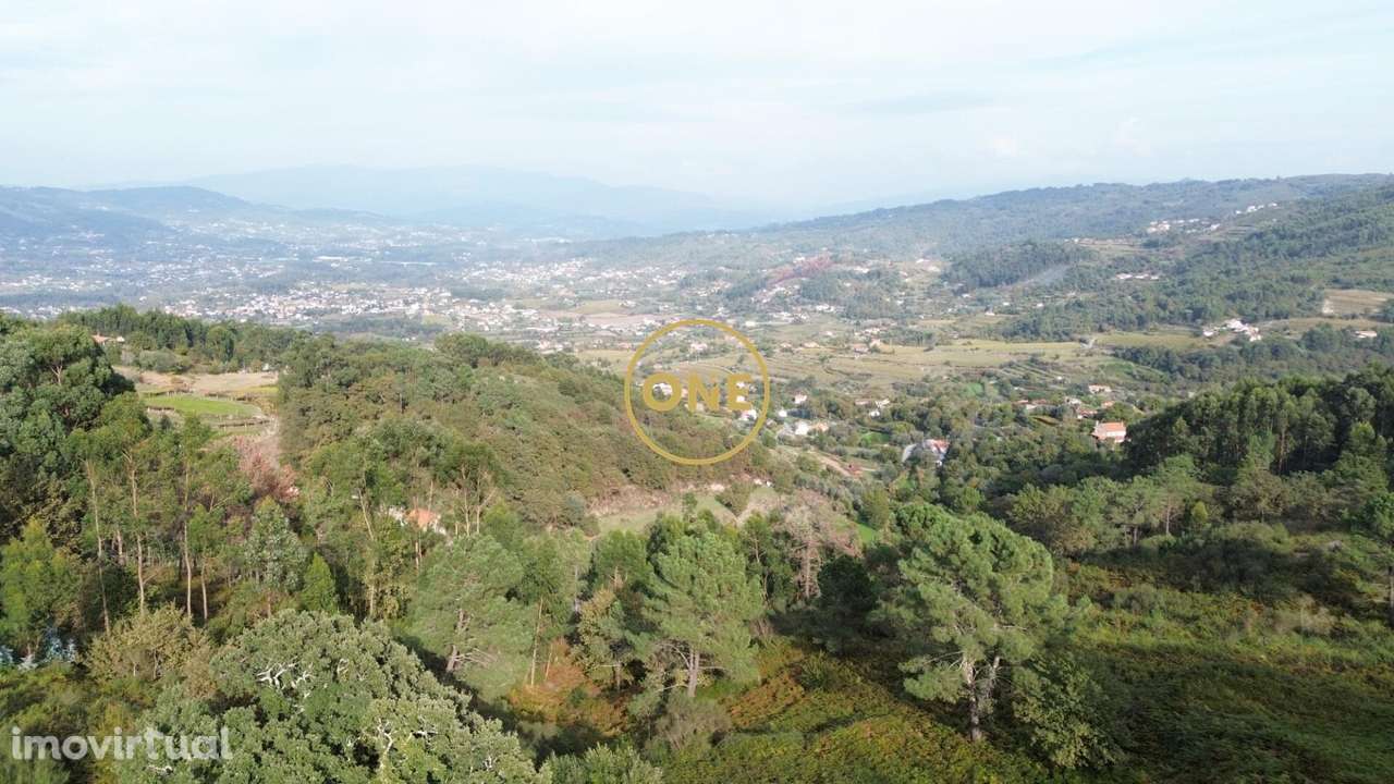 Terreno Rústico Gondufe - Ponte Lima - Grande imagem: 4/13