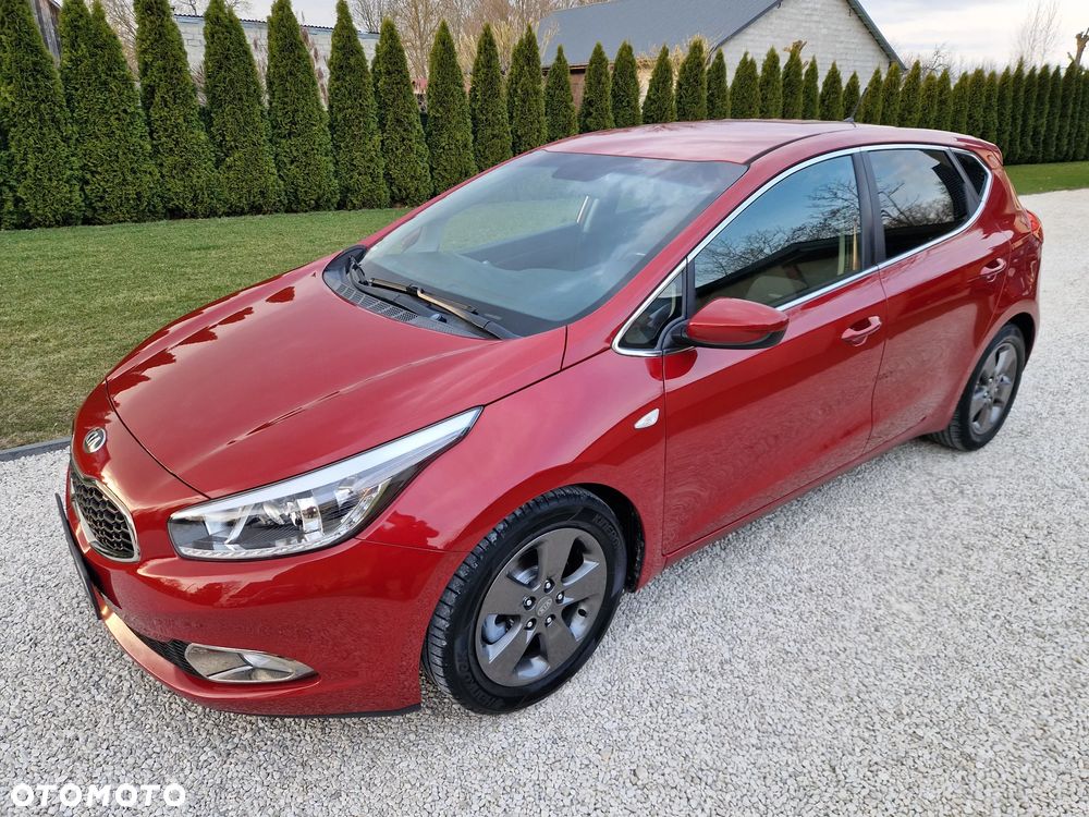 Kia Ceed 1.4 CVVT Fifa World Cup Edition - 15