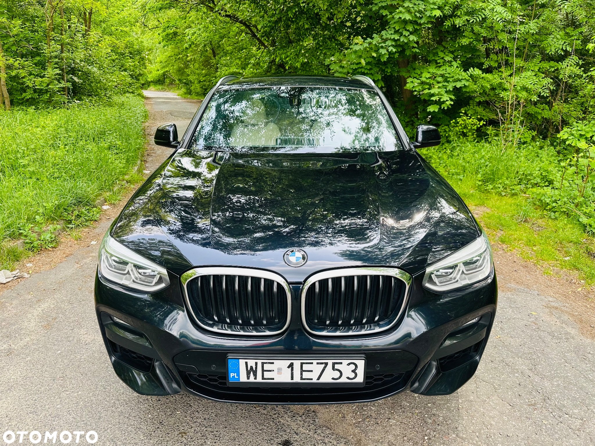 BMW X4 xDrive30i GPF M Sport X sport - 5