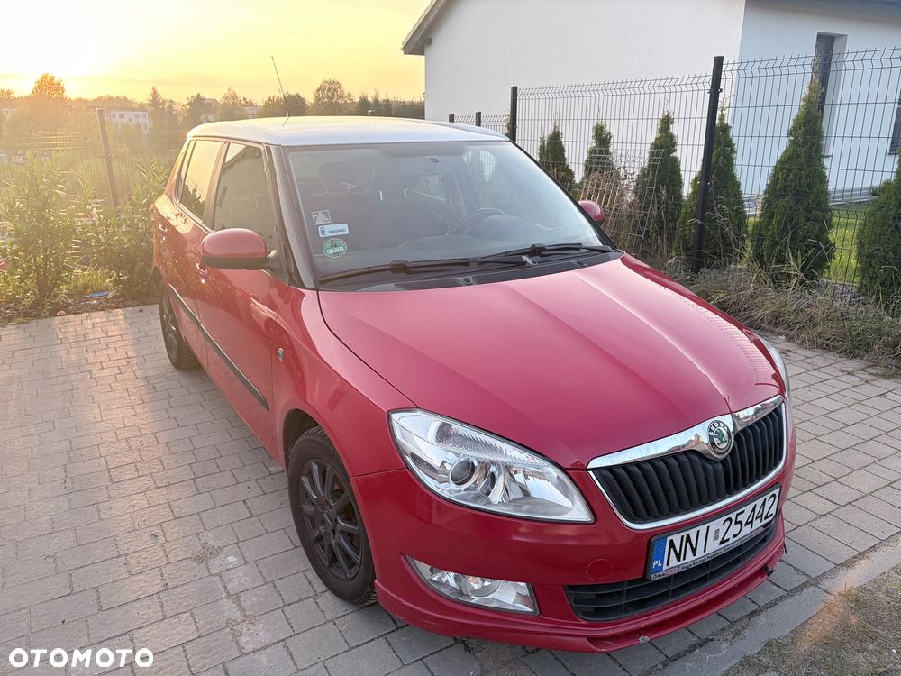 Skoda Fabia 2010 photo 5