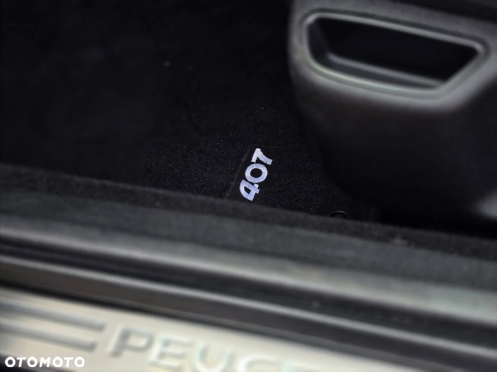 Peugeot 407 - 29
