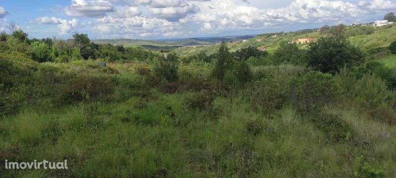 Terreno rústico em Cardosas - Arruda dos Vinhos - Grande imagem: 2/7