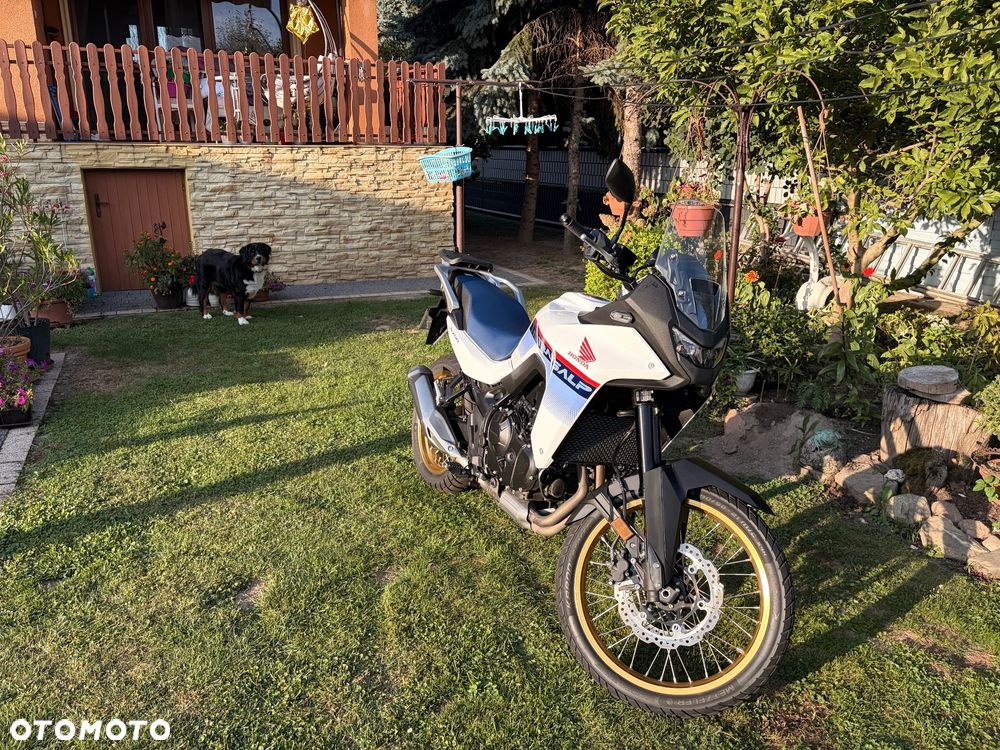 Honda Transalp - 31
