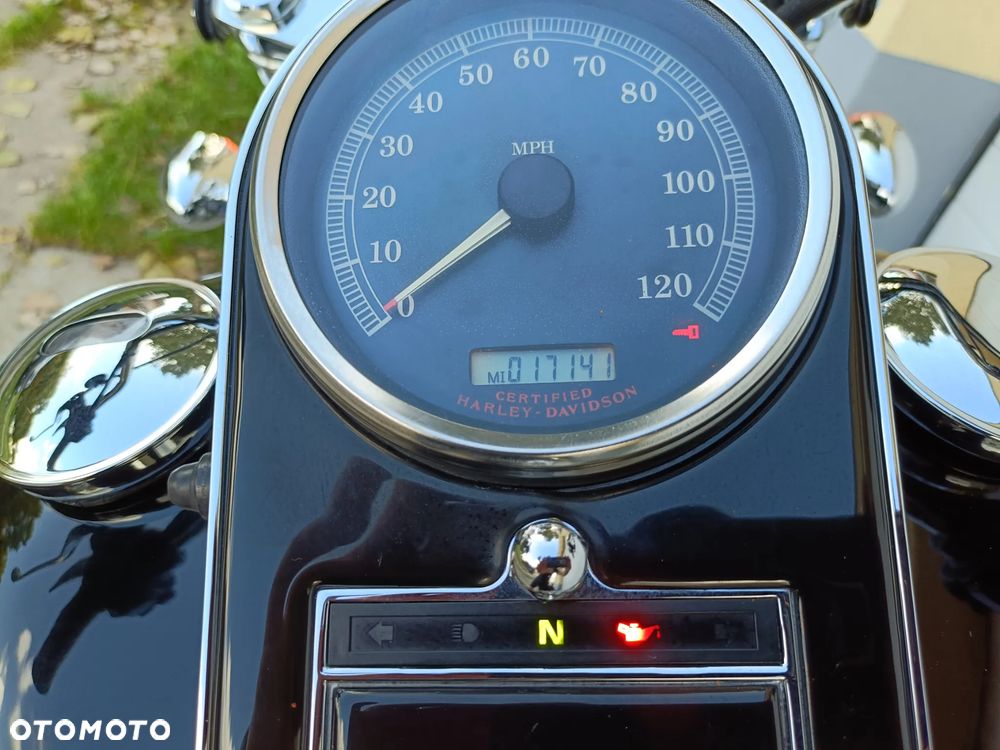 Harley-Davidson Softail Standard - 38