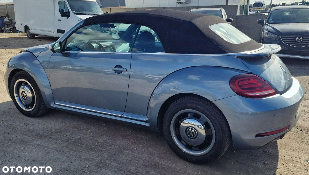 Volkswagen Beetle - 31