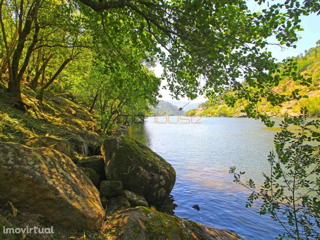 Quinta com frente de Rio Douro - Grande imagem: 2/34