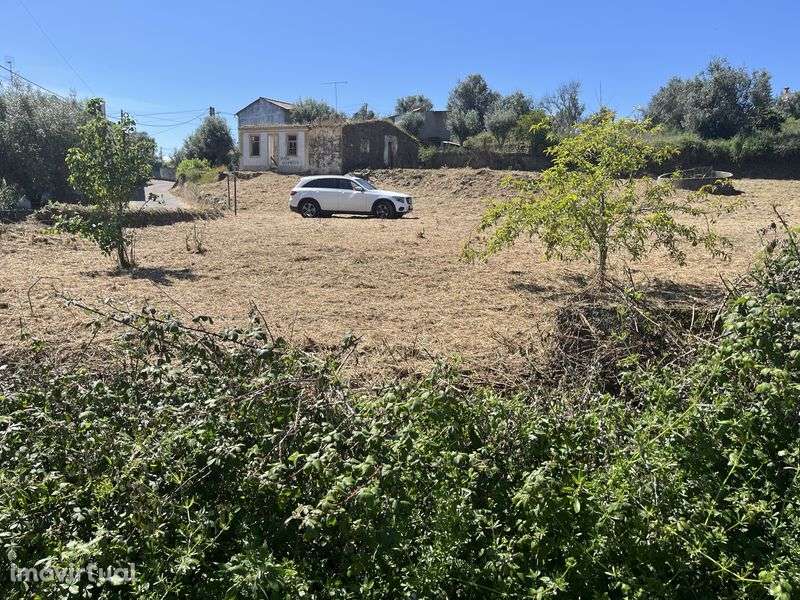 Vendo pequena quinta com ruina no centro de Mouriscas Abrantes - Grande imagem: 4/12