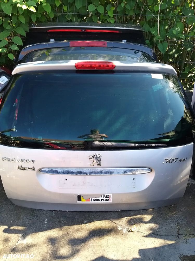Haion pentru Peugeot 307SW Break an 2001-2008 - 1