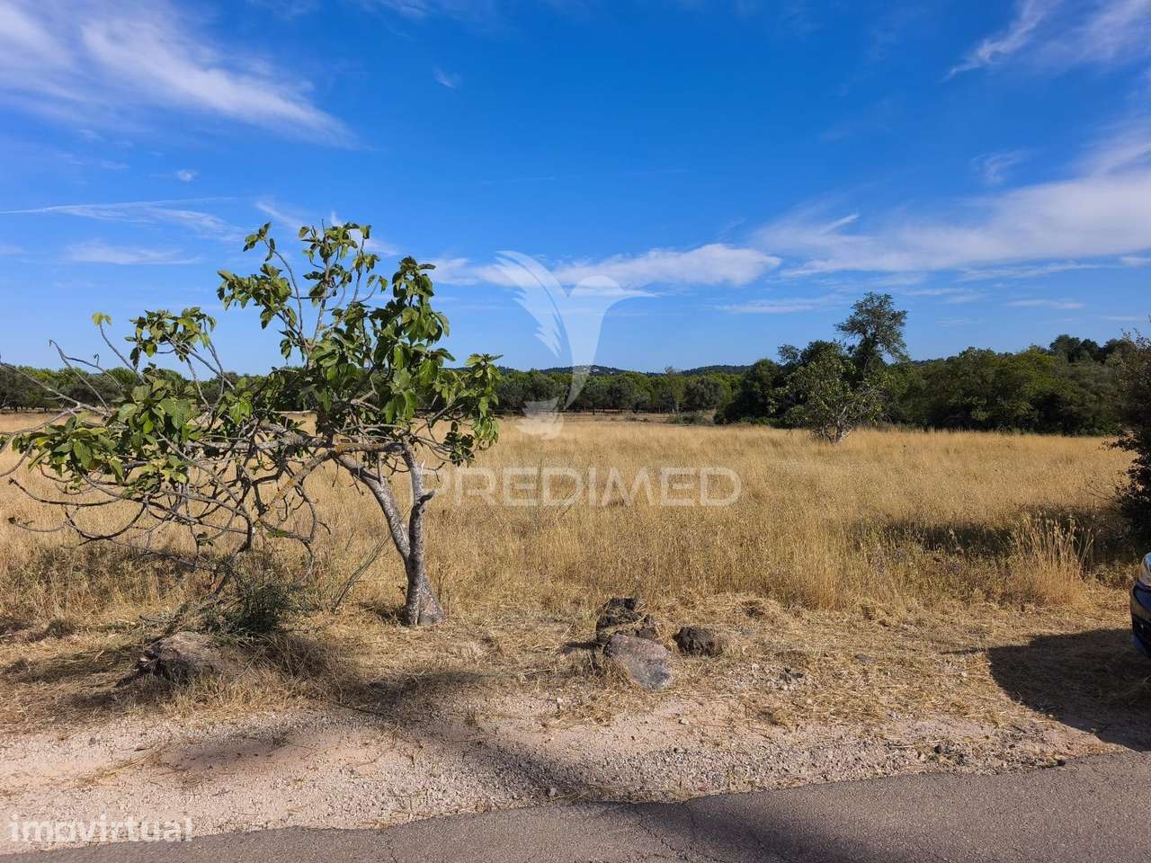 Albufeira-Paderne Montes Elois -Terreno Rustico plano 24360m2 - Grande imagem: 4/12