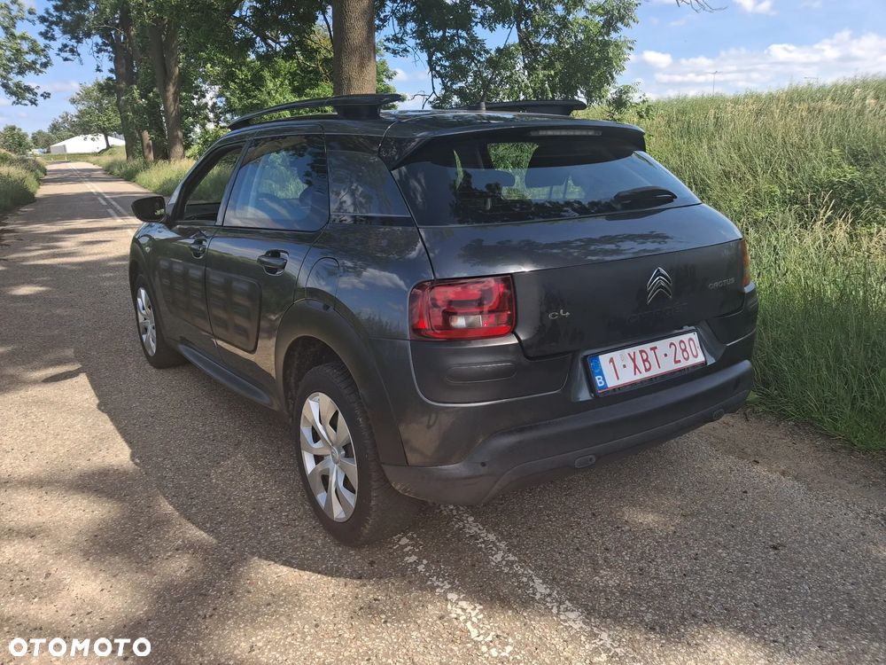 Citroën C4 Cactus PureTech 82 Business Class - 8