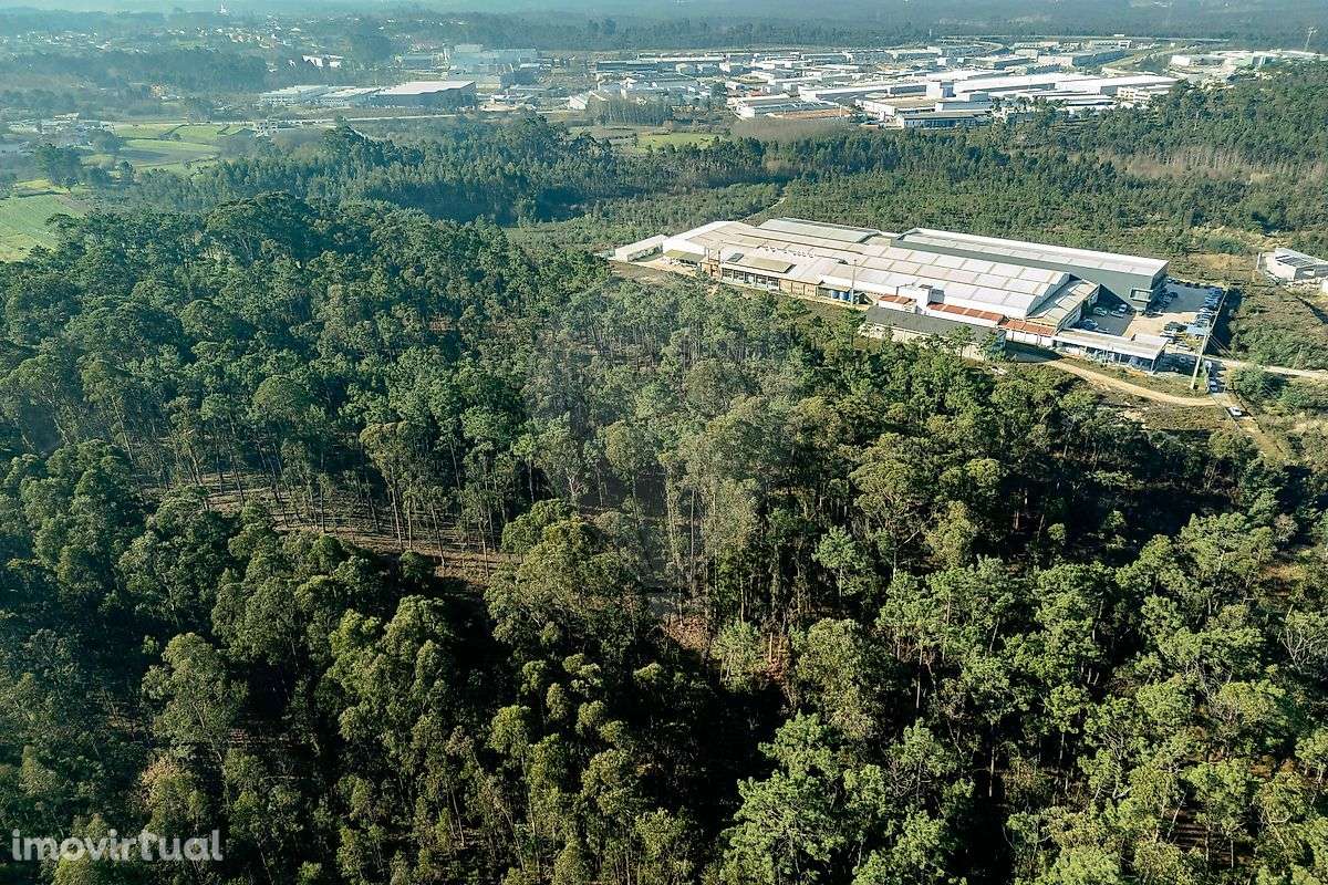 Terreno  para venda - Grande imagem: 4/11