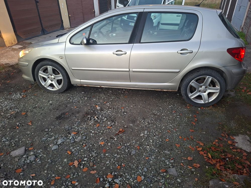 Peugeot 307 2005 photo 4