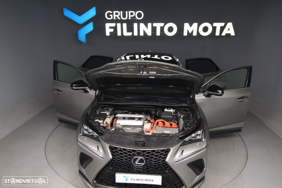 Lexus NX 300h F Sport+ 4WD - 12
