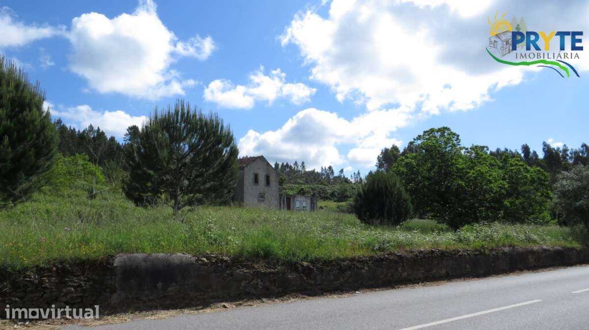 Quinta com 3,6 hectares na Sertã - Pinhal, Oliveiras e Bons Acessos. - Grande imagem: 5/24