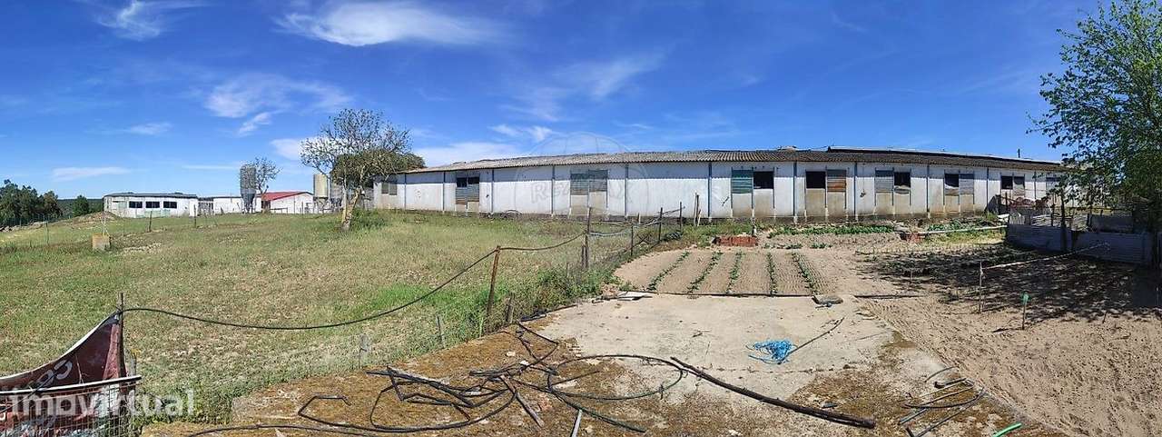 Industrial  para venda - Grande imagem: 2/21