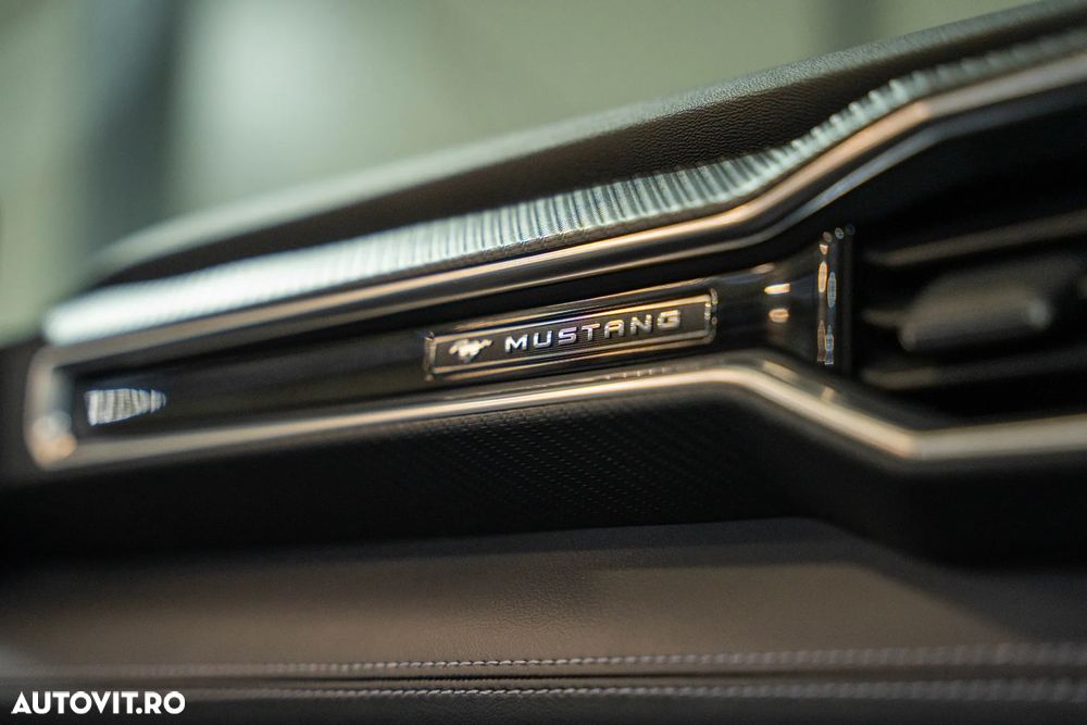 Ford Mustang 5.0 V8 Mach 1 - 24