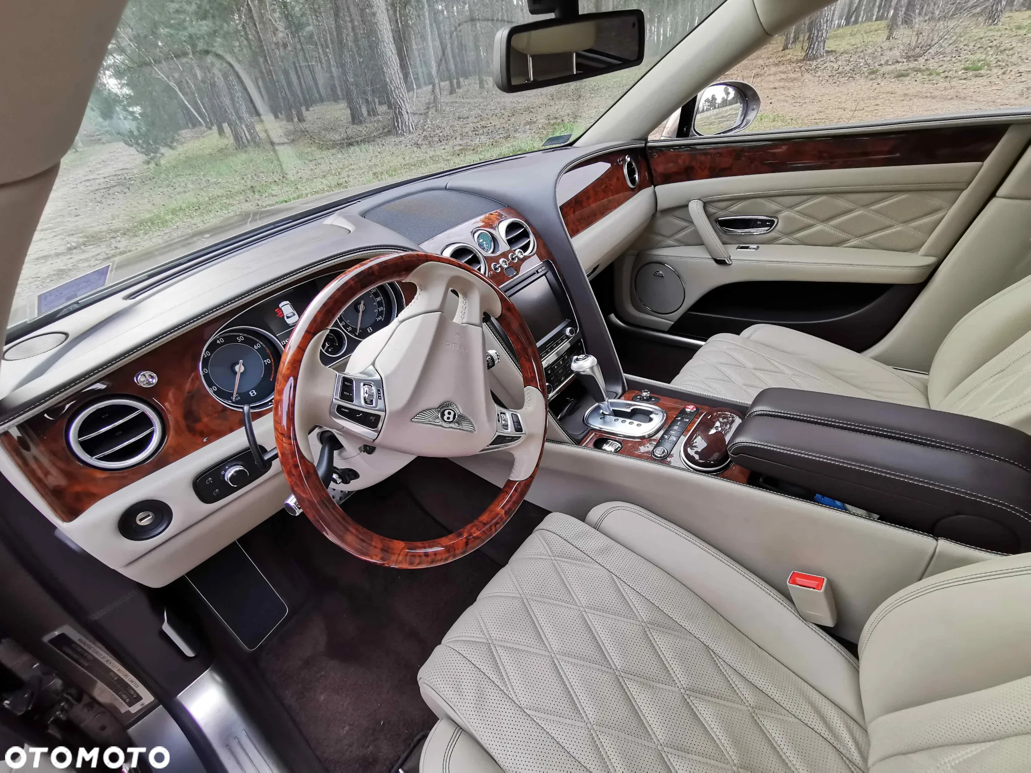 Bentley Flying Spur W12 - 10