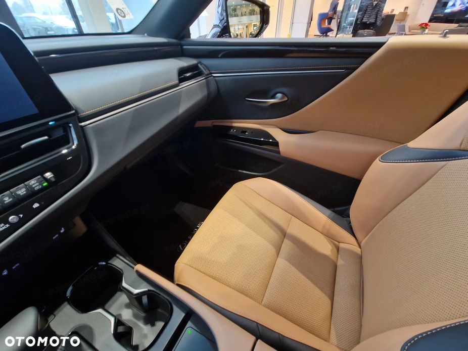 Lexus ES 300h Business Edition - 10