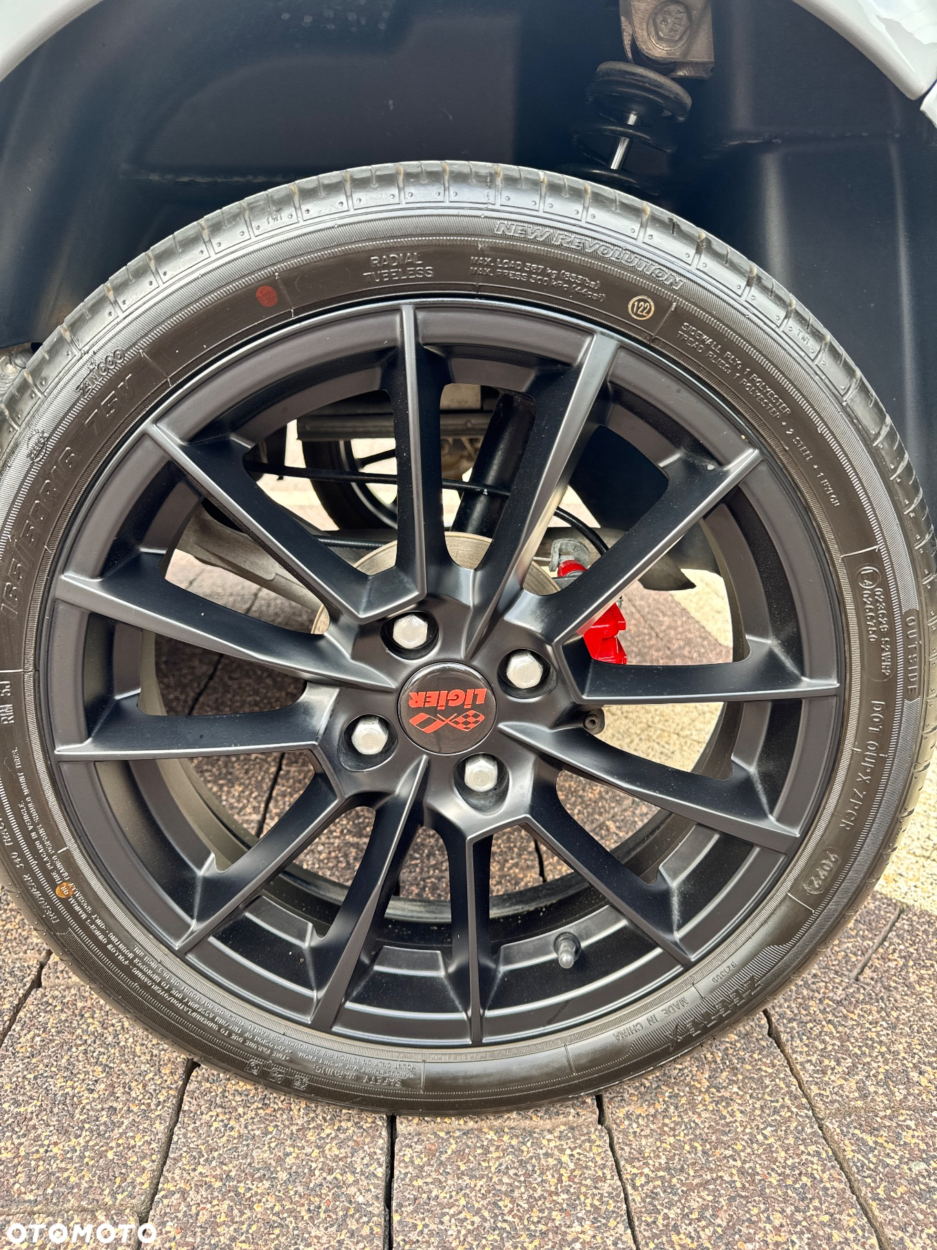 Ligier JS50 - 21