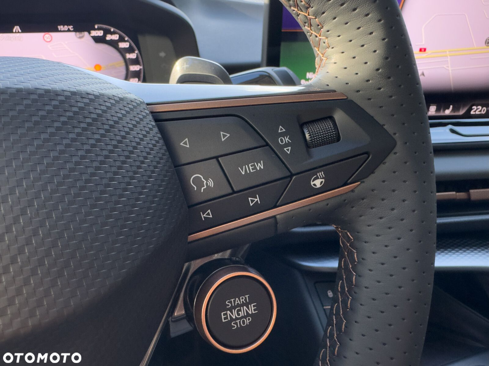 Cupra Terramar 2.0 TSI 4Drive DSG - 22