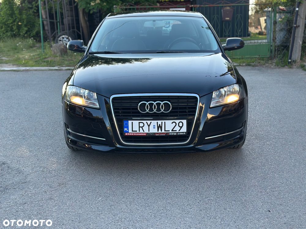 Audi A3 Sportback 1.6 TDI DPF Attraction - 13