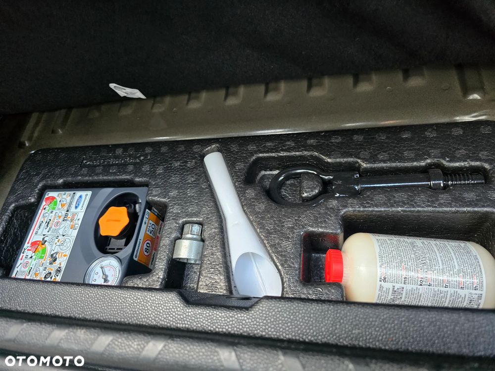 Ford EcoSport 1.0 EcoBoost GPF Titanium ASS - 18