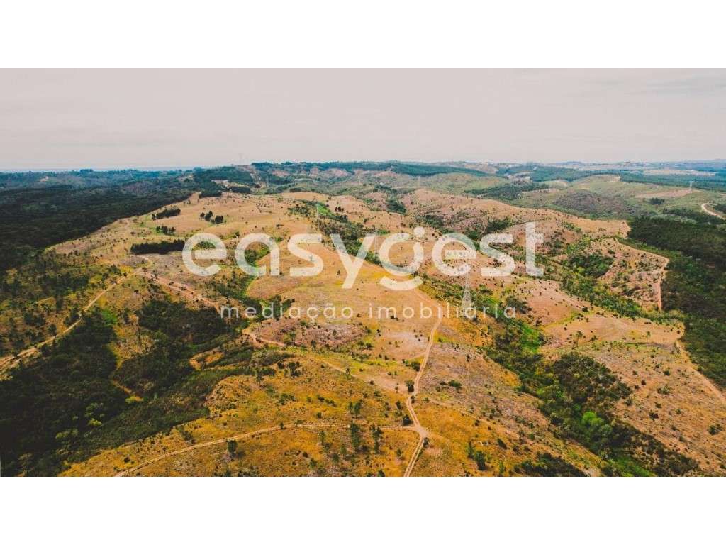 Terreno com 92 Ha a cerca de 5 Km do Centro de Santiago do Cacém - Grande imagem: 5/48