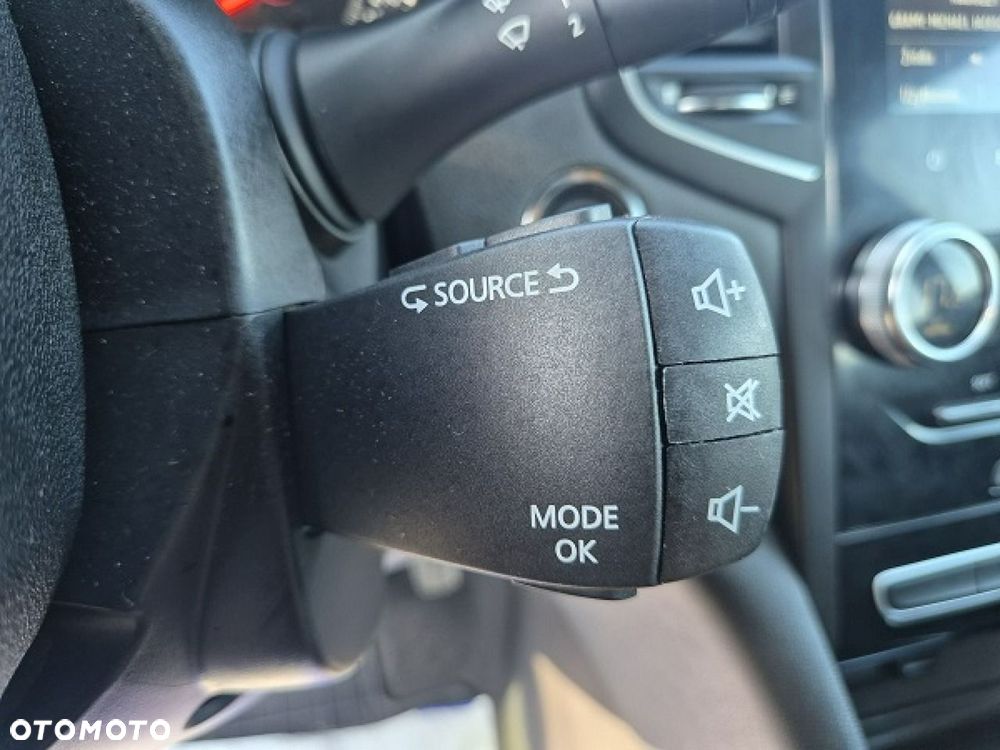 Renault Megane - 31