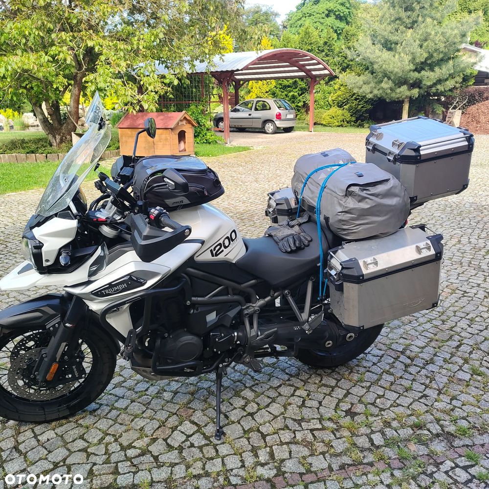 Triumph Tiger - 15