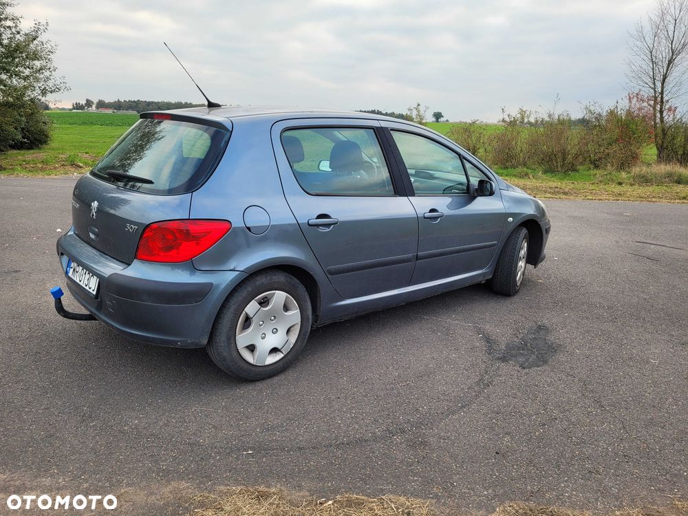 Peugeot 307 2005 photo 3