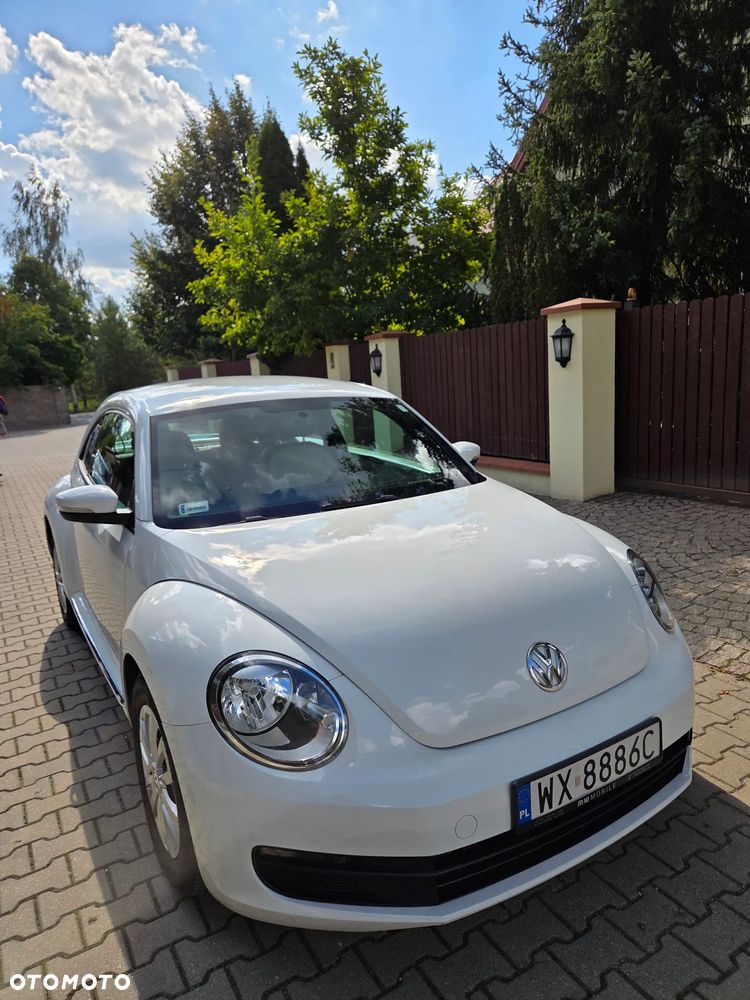 Volkswagen Beetle - 15