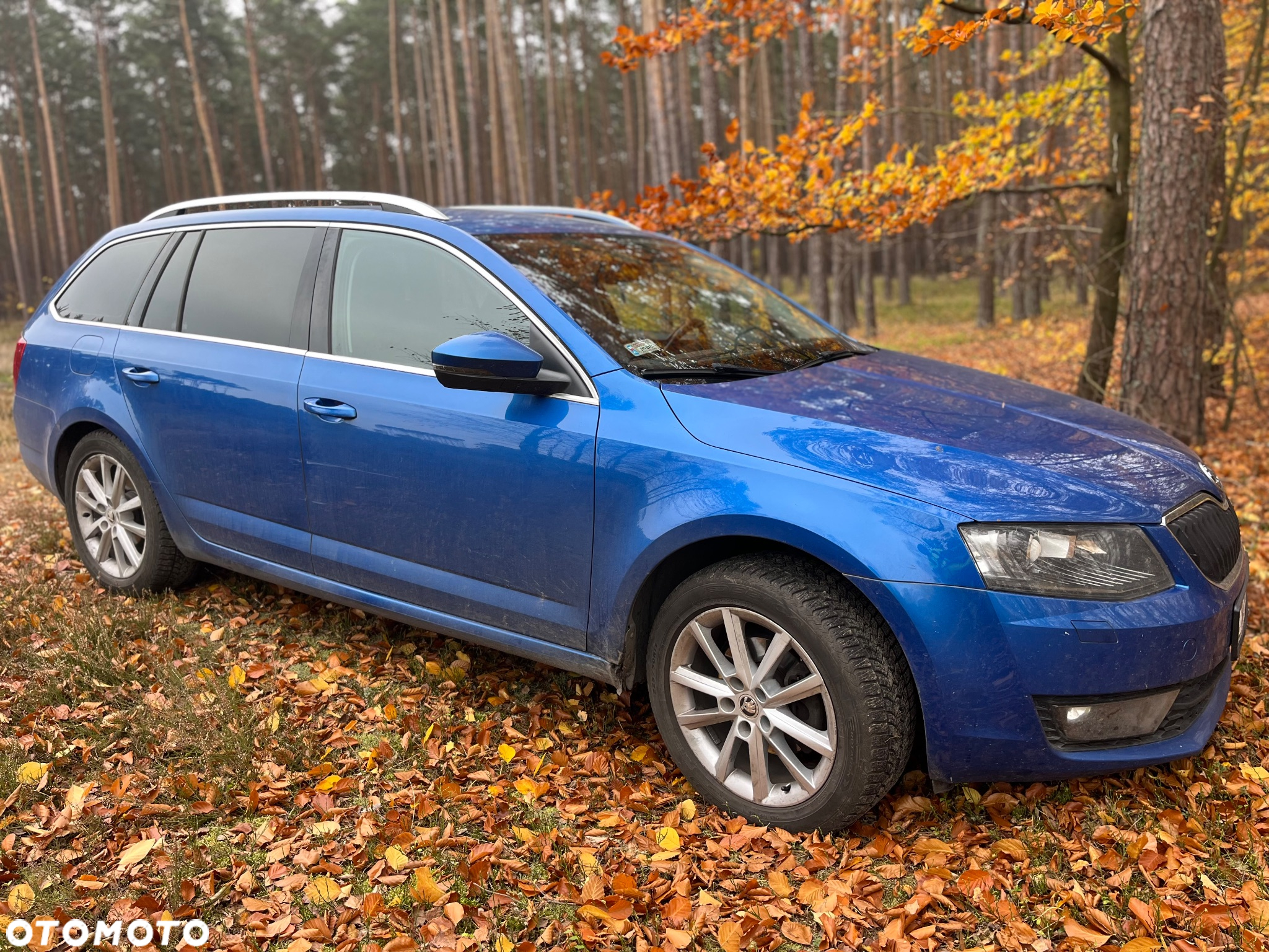 Skoda Octavia 2.0 TDI 4x4 Elegance - 2