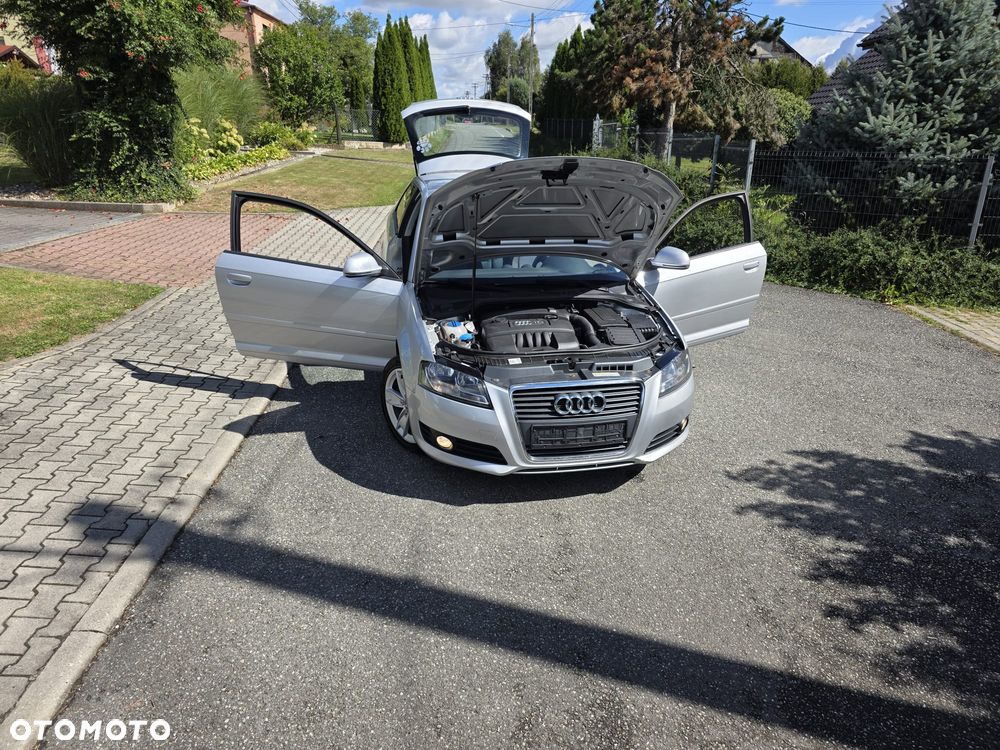 Audi A3 3-drzwiowe 1.6 Ambiente - 3