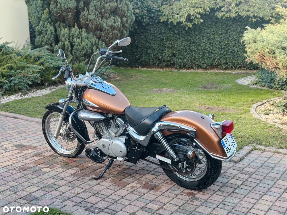 Suzuki Intruder - 8