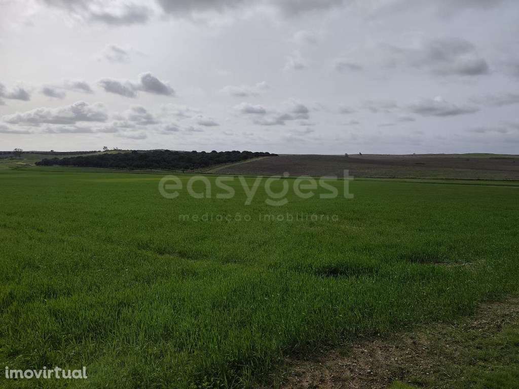 Terreno Rústico com área total de 93.875 m2, localizado na freguesi... - Grande imagem: 4/11