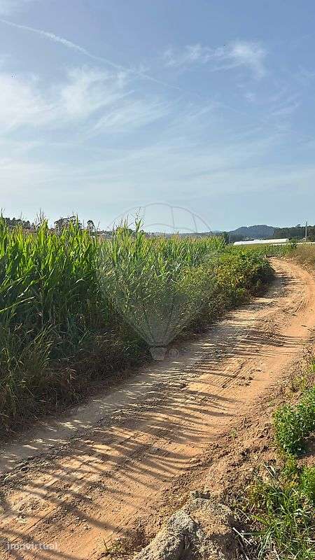 Terreno  para venda - Grande imagem: 5/8